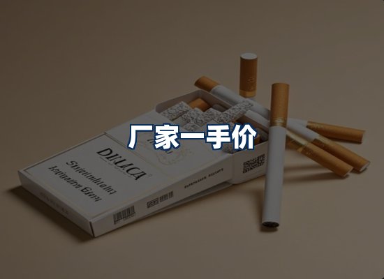 专业团队办公环境